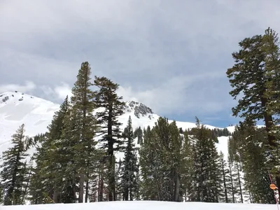 20190517_121400 (Large).jpg